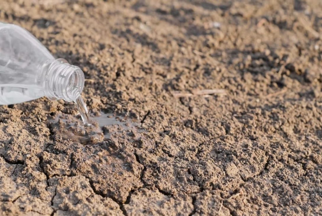  › El Agua En Nl